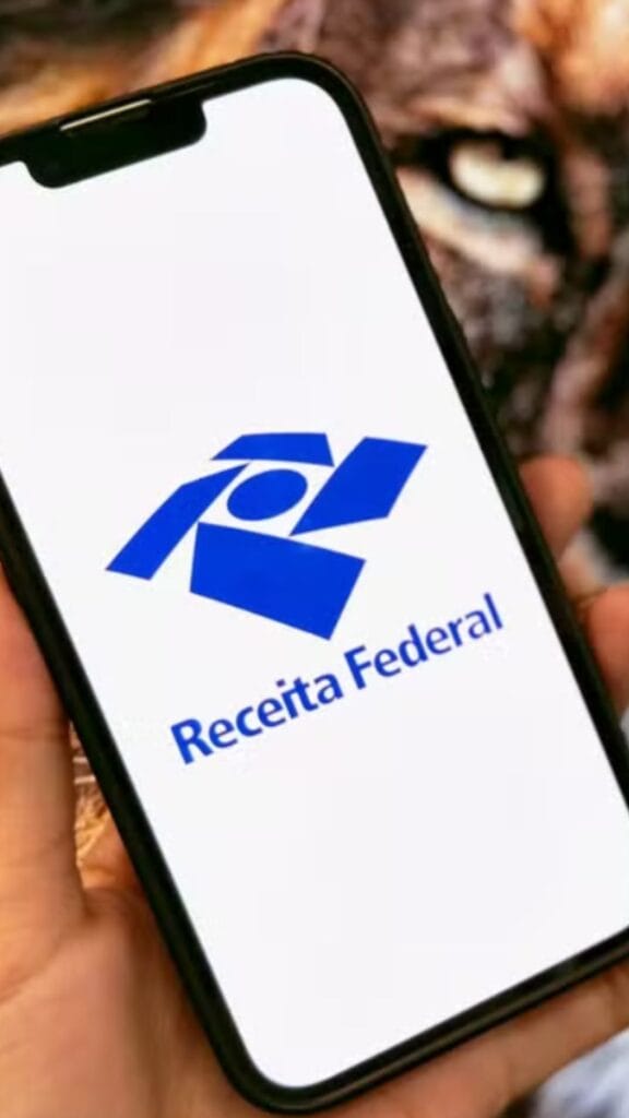 Como se Preparar para o Imposto de Renda 2025: Dicas e Estratégias