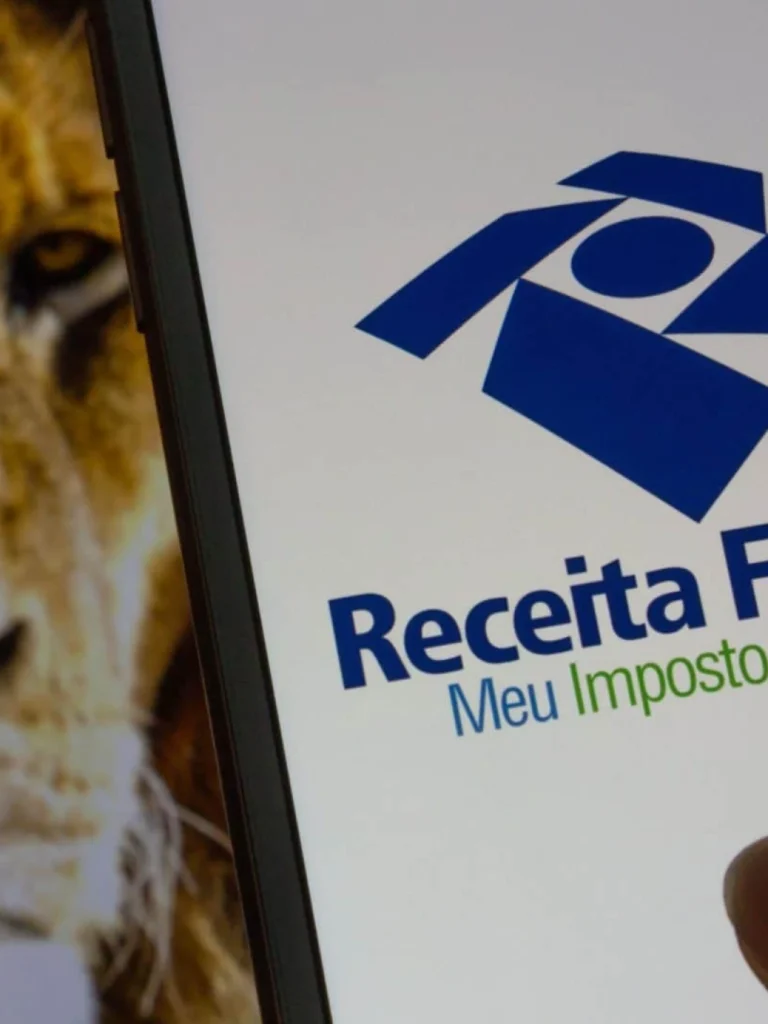 Como se Preparar para o Imposto de Renda 2025: Dicas e Estratégias